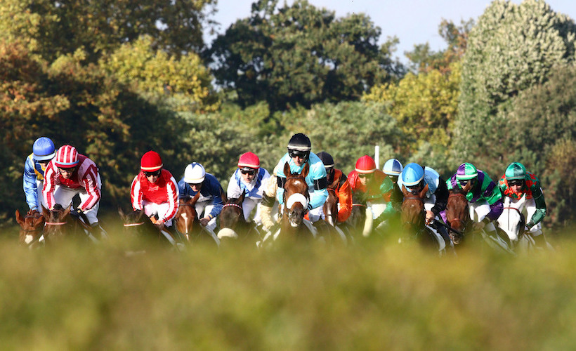 Vaccination against Equine Herpes Virus now mandatory to race in France
