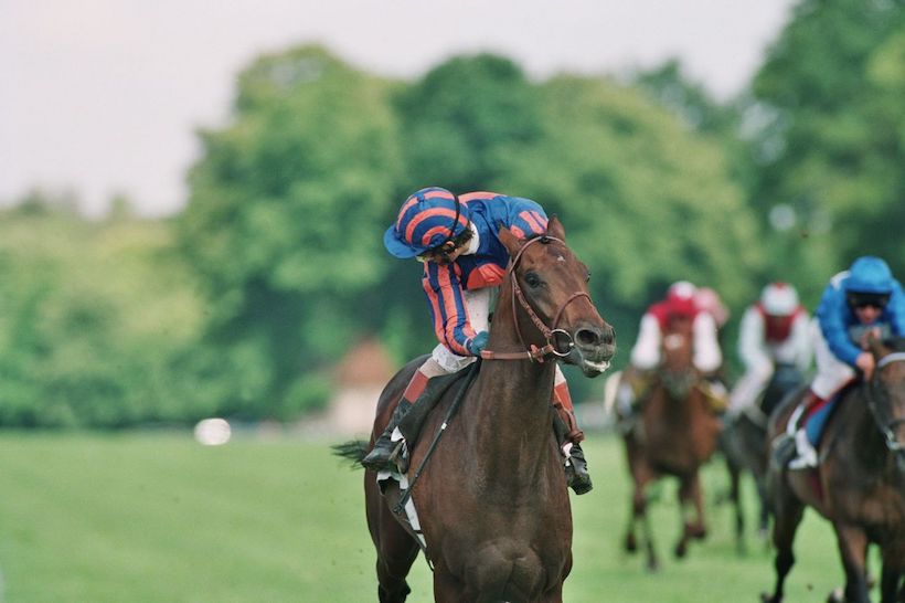 QIPCO Prix du Jockey Club : the race that shapes the breed