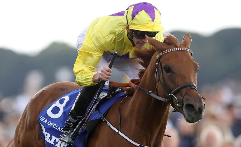 #ArcRoad : Sea Of Class, new favourite for the Arc