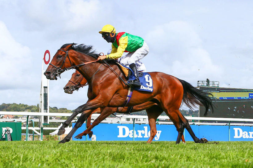 Darley Jean Romanet Report: Audarya out in the sun