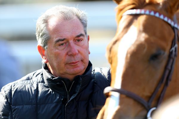 Views on the Arc: trainer Jean-Claude Rouget talks horses