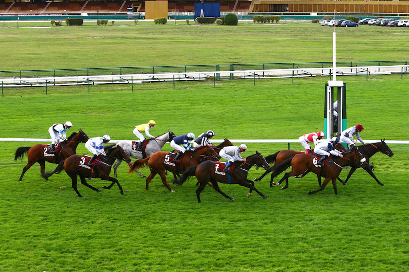 Abbaye de Longchamp Longines Report: Wooded, a sprinter in the making