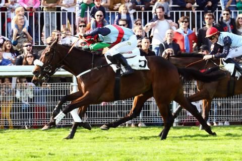 Device prevails again in top Auteuil Hurdle race