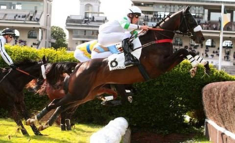 New order rules Auteuil