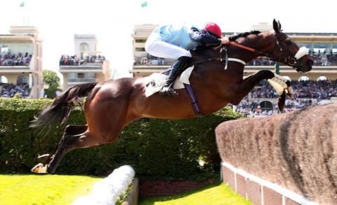 So French wins Grand Steeple-Chase de Paris again
