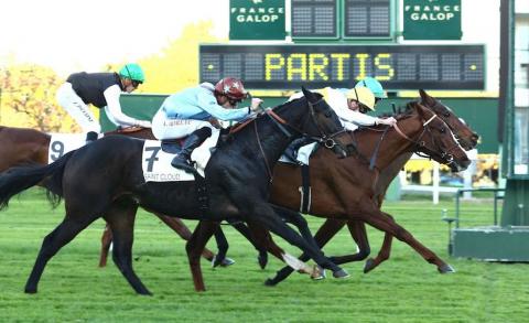 French Maiden Winners Weekly (Nov. 6-12)