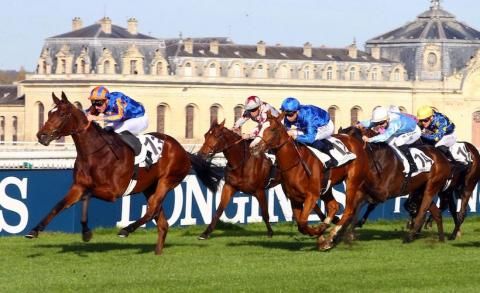 French Maiden Winners Weekly (Oct 31)