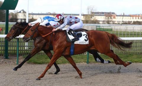 French Maiden Winners in January