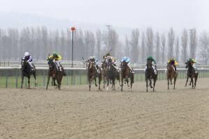 Report de sept courses de Deauville