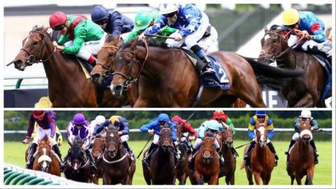 10 and 12 confirmed in French Guineas