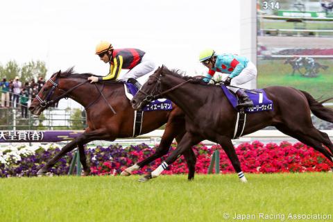 #ArcRoad : Un second cheval japonais confirmé dans le Qatar Prix de l'Arc de Triomphe