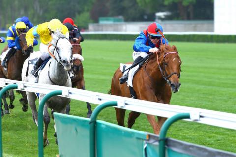 Barbeville: The French stayers are back