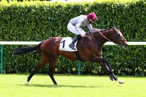 Texanita: There's a new sprinter in Chantilly
