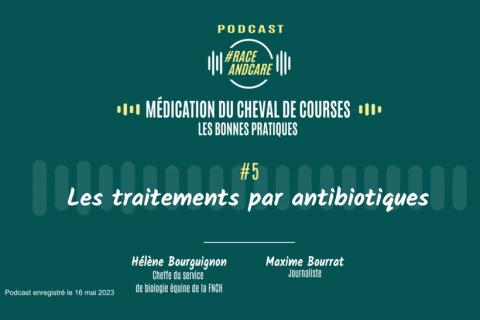 Podcast BEE - épisode 5 - les antibiotiques