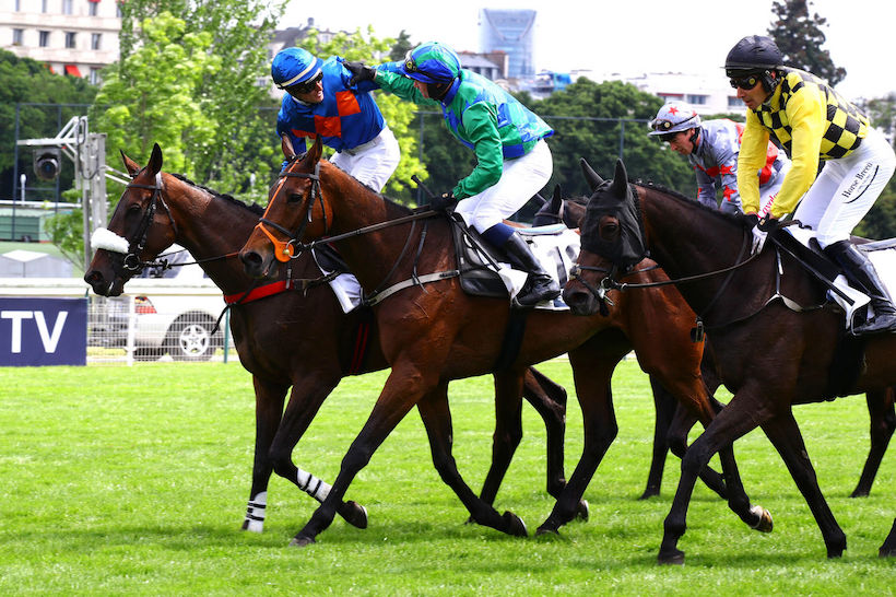 Grande Course Haies Auteuil 23 Theleme