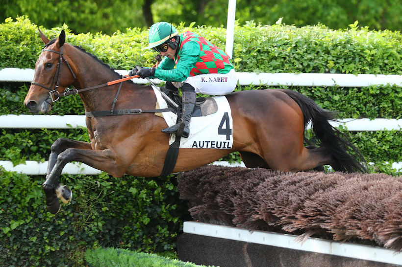 Amadou Hurdle History : The last step before the Triumph