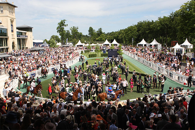 Rond de présentation