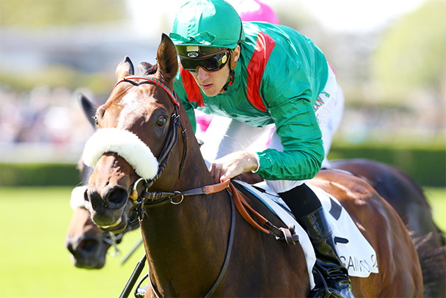 Couleurs du propriétaire