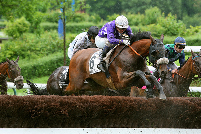 œillères traditionnelles