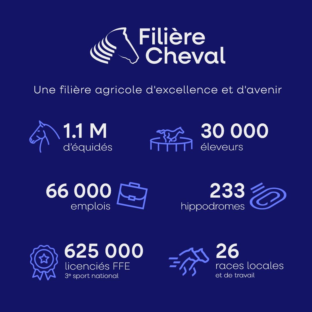 Filière cheval 2