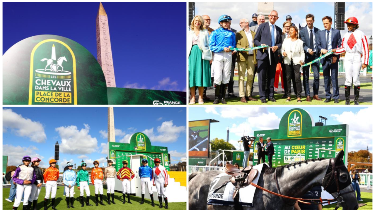 Les chevaux dans ma ville