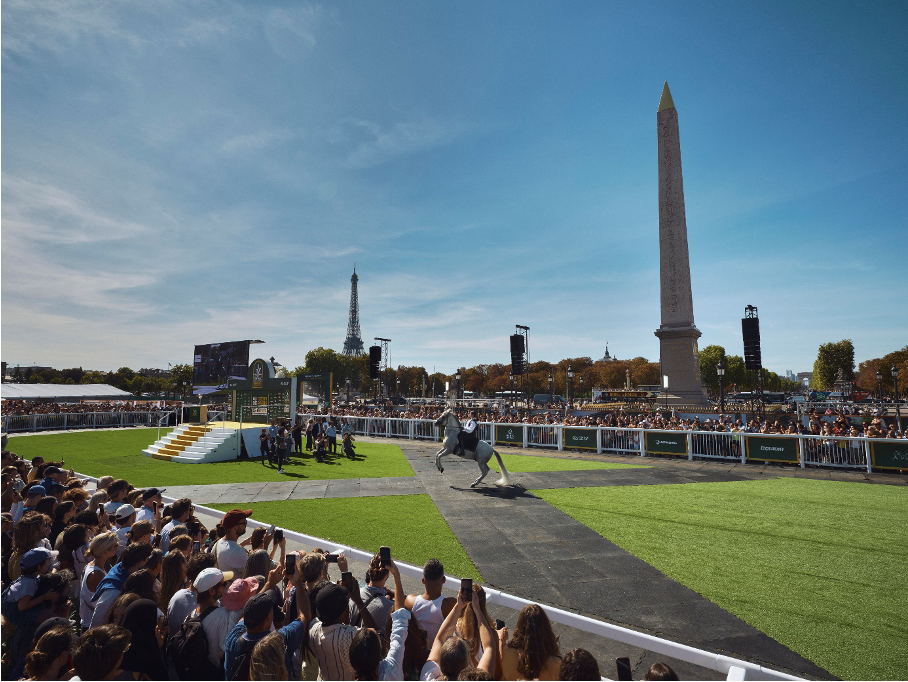 Des Chevaux dans la Ville