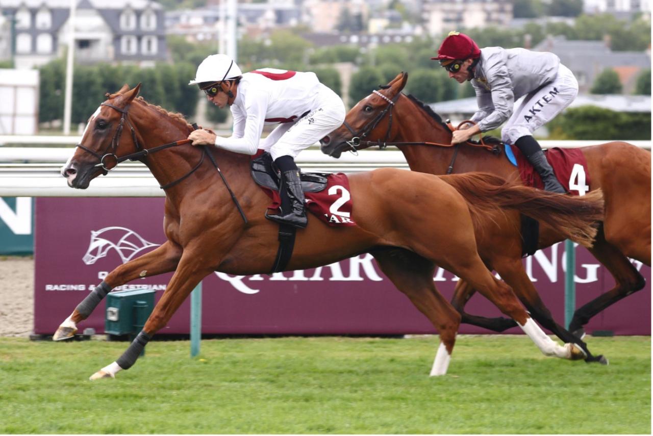 Al Rayyan Cup