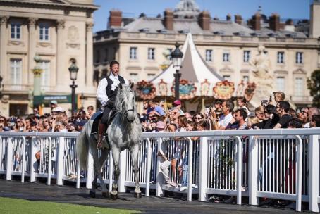 LES CHEVAUX DANS LA VILLE 