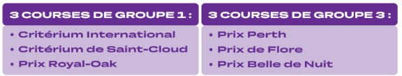 Courses de Groupe