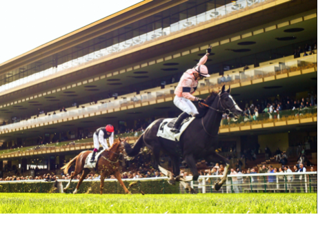 Une image contenant herbe, plein air, sport, cheval
Le contenu généré par l’IA peut être incorrect.