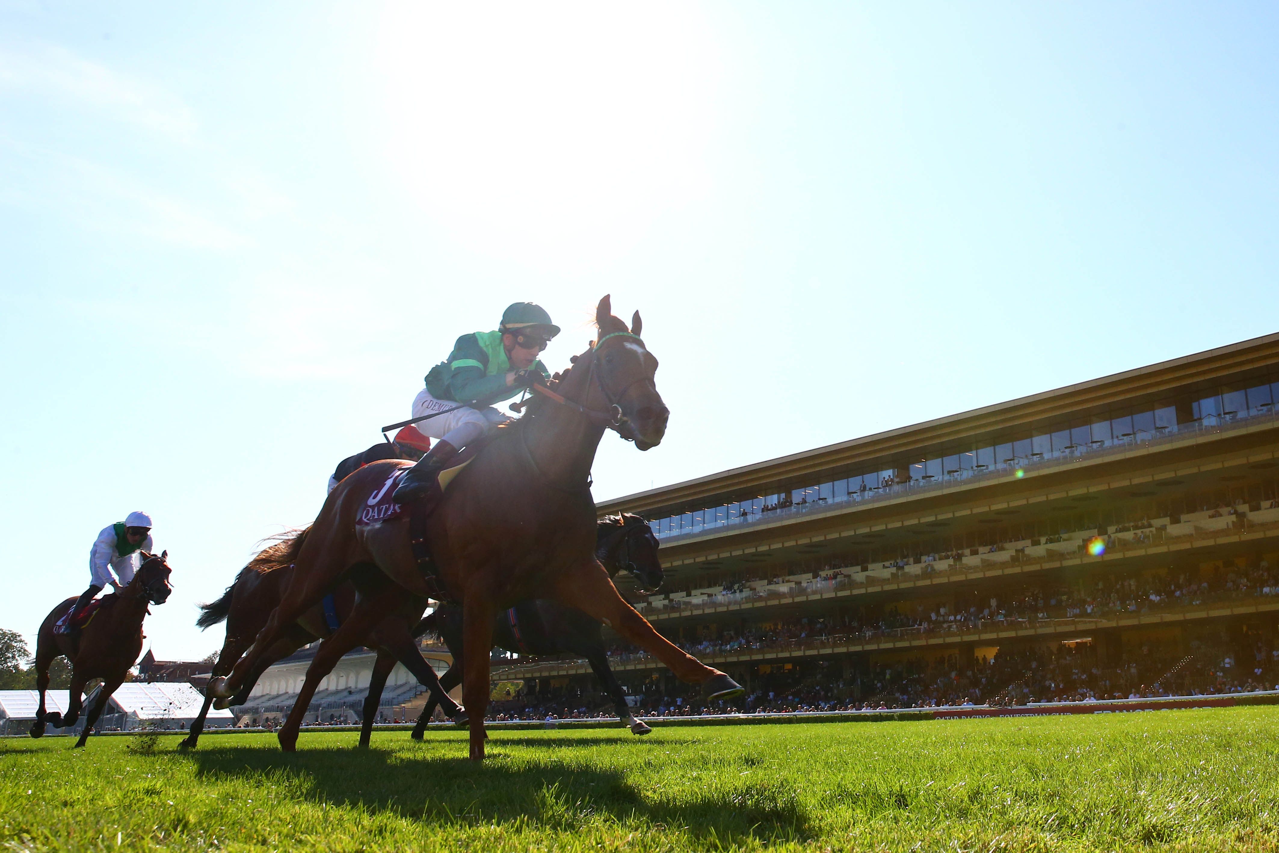 qatar-prix-niel-gr2-sottsass-2