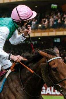 Qatar Prix de l'Arc de Triomphe