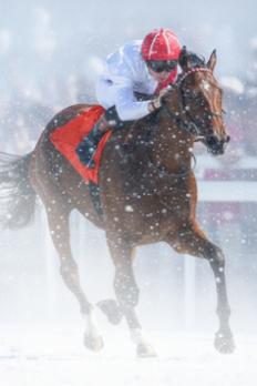 Vignette noel a deauville