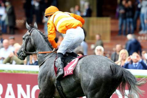 Qatar Prix Dollar: It's also very good on the 9th time for Skaletti