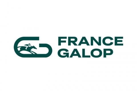 France Galop Committee: 2023 racing stakeholders election results | France Galop