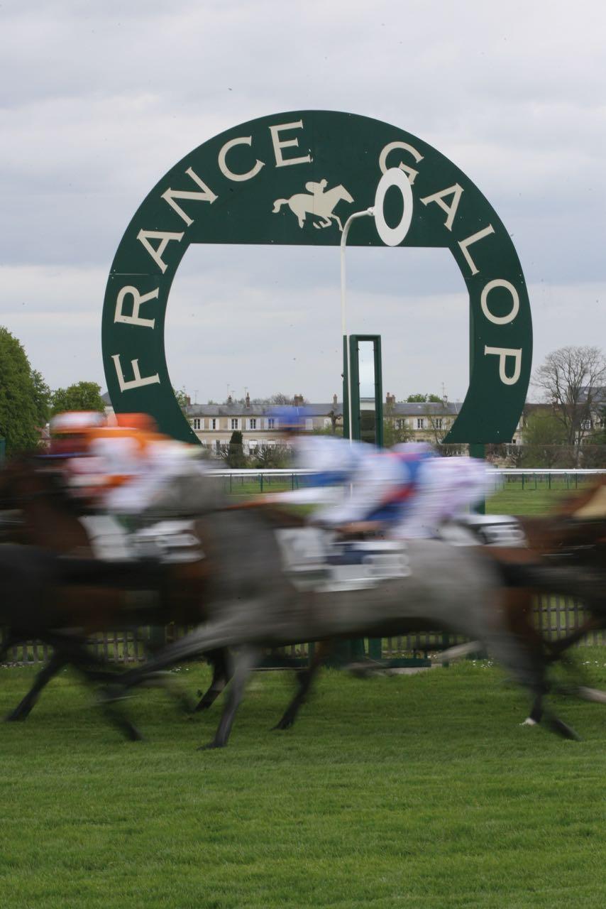 Comité de France Galop : Bilan 2016 et prévisions 2017