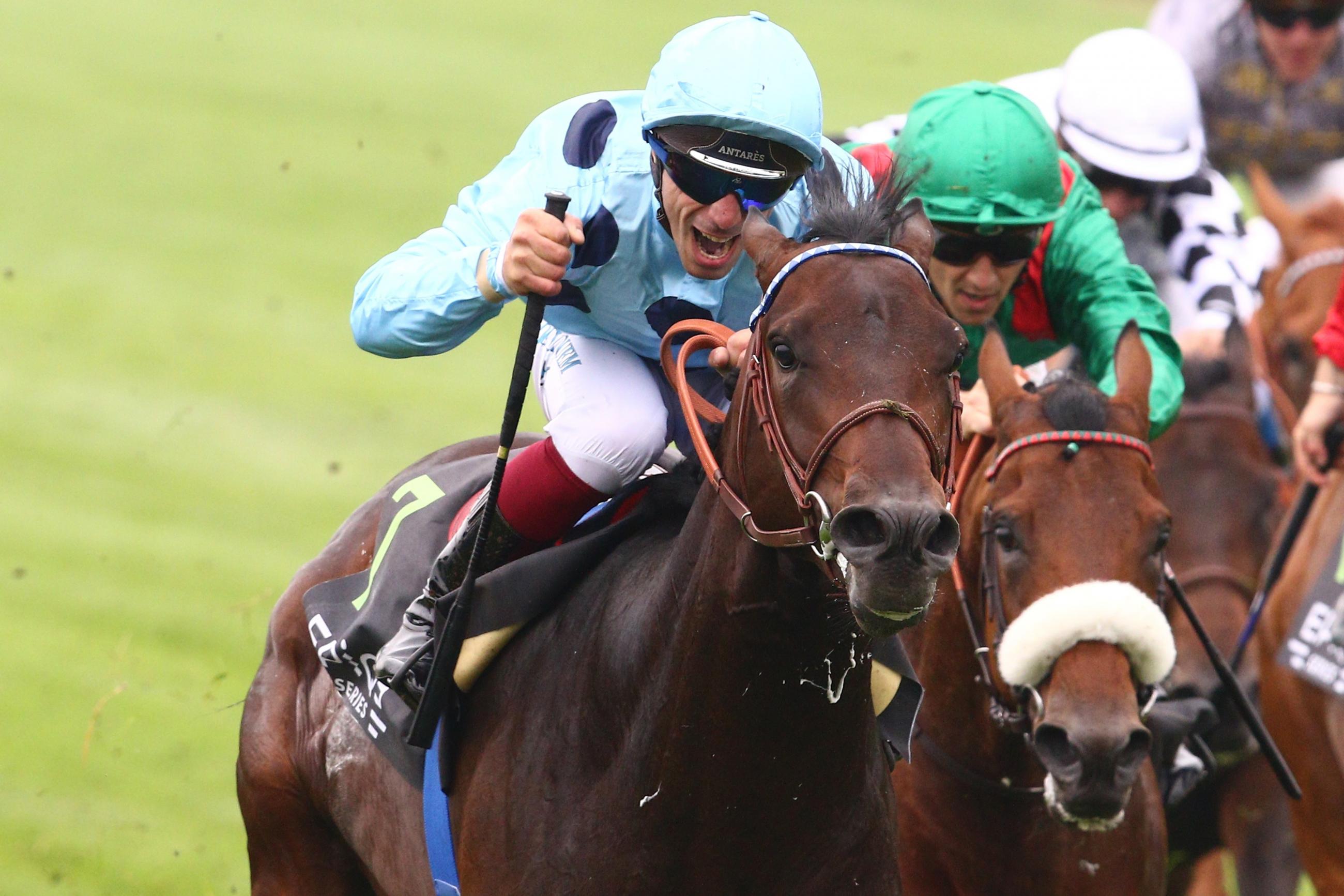 Classifications Longines : le sacre d’Almanzor et les promesses des 2ans Classifications Longines : le sacre d’Almanzor et les promesses des 2ans