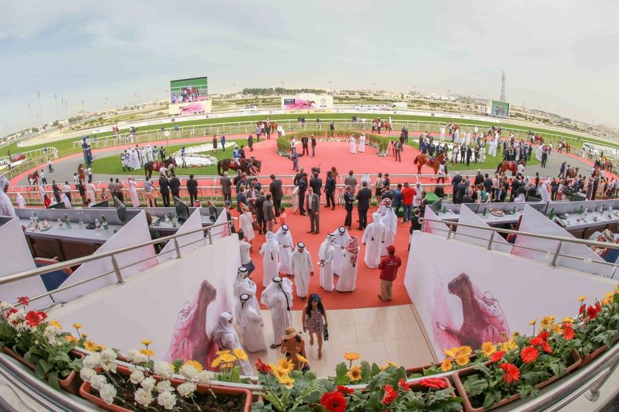Les engagements français de l'Emir's Sword Festival