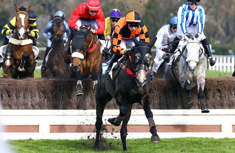 Bon Augure back in winners enclosure Bon Augure back in winners enclosure