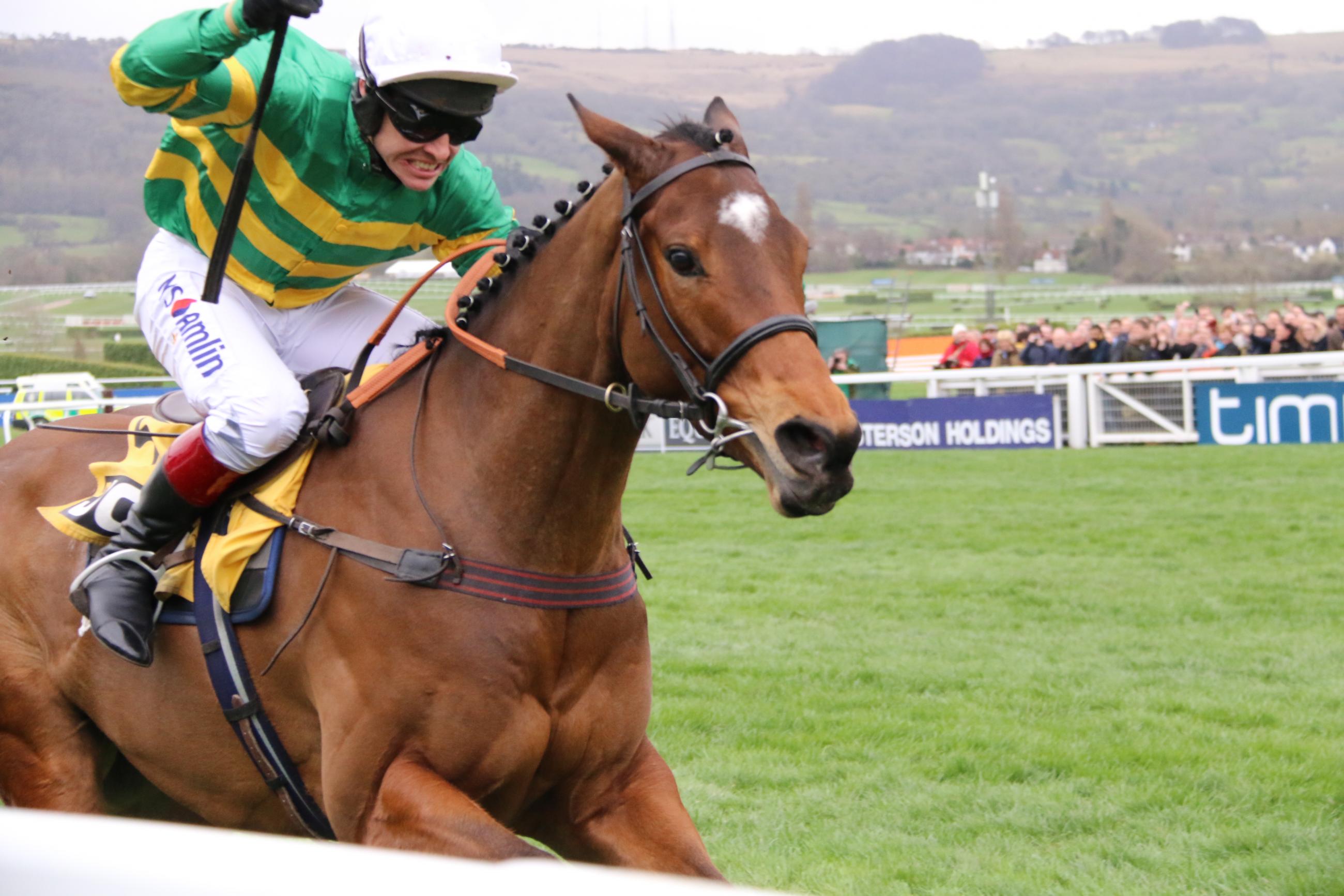 Les "FR" finissent en beauté à Cheltenham