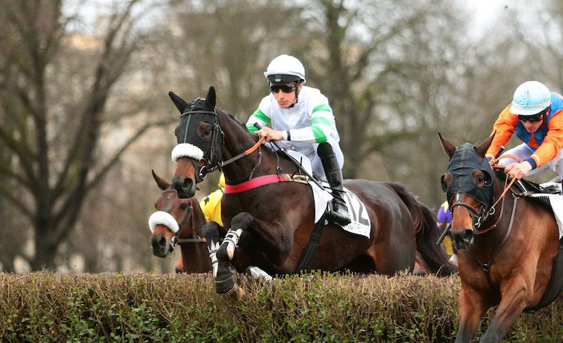 Saturday at Auteuil : Perfect Impulse avenges herself Saturday at Auteuil : Perfect Impulse avenges herself