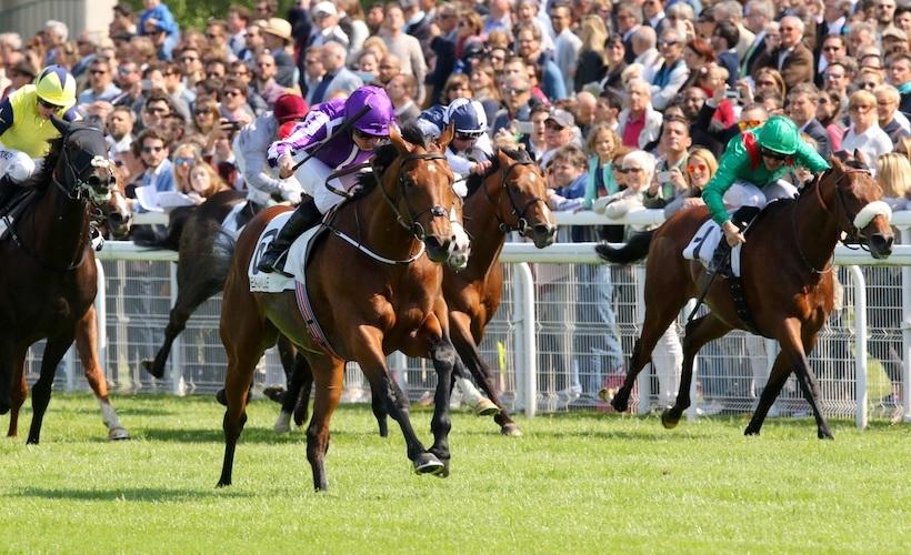 Le week-end des Poules d'Essai parrainé par l'Abu Dhabi Sports Council