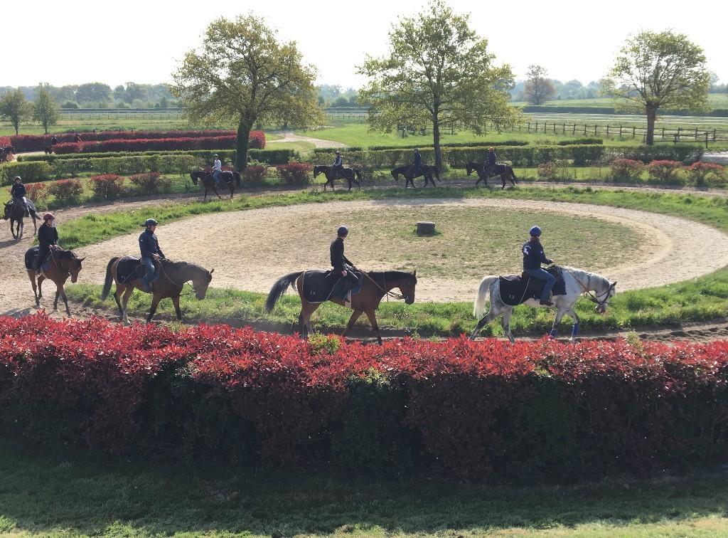 Le parrainage en action à Senonnes et Châteaubriant Le parrainage en action à Senonnes et Châteaubriant