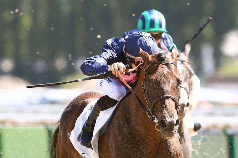 Quatre français restent sur le sable à Lingfield