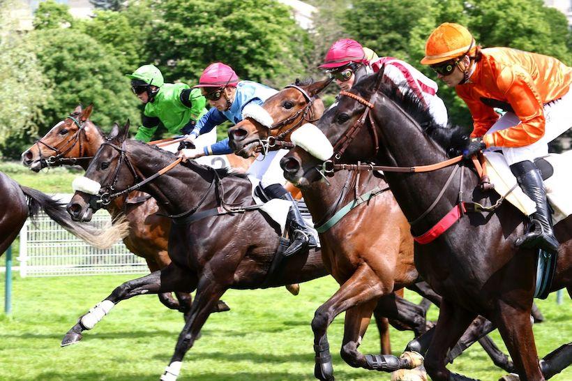 Grand Steeple weekend on its way ! Grand Steeple weekend on its way !