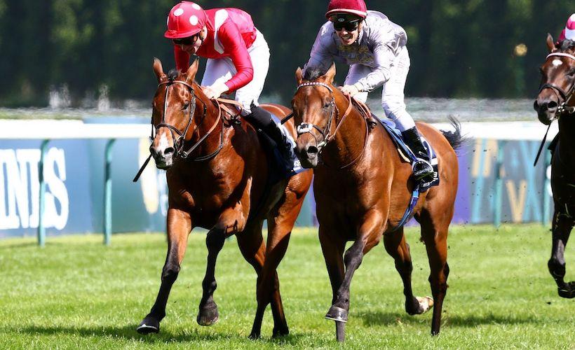 Historique de l'Abu Dhabi Poule d'Essai des Poulains : Le premier acte de la saison classique