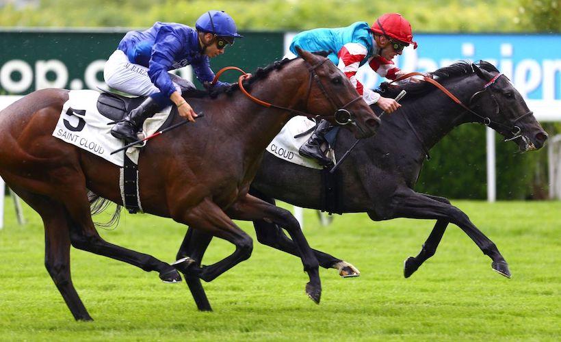 Les gagnants de maidens de la semaine (15-21/5) Les gagnants de maidens de la semaine (15-21/5)