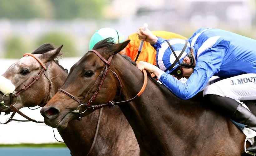 Les gagnants de maidens de la semaine (9 au 14 mai) Les gagnants de maidens de la semaine (9 au 14 mai)