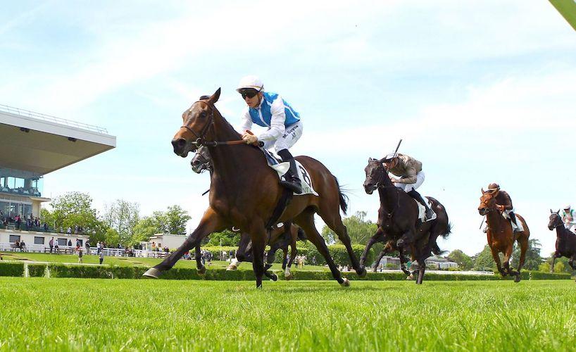Terrakova vers le Prix de Diane Longines