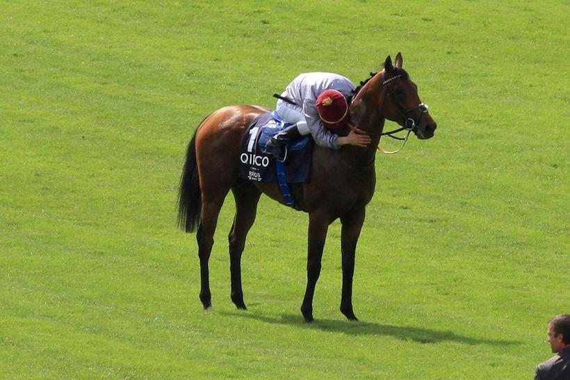 Ratings des chevaux français : la Poule d'Essai reste la référence